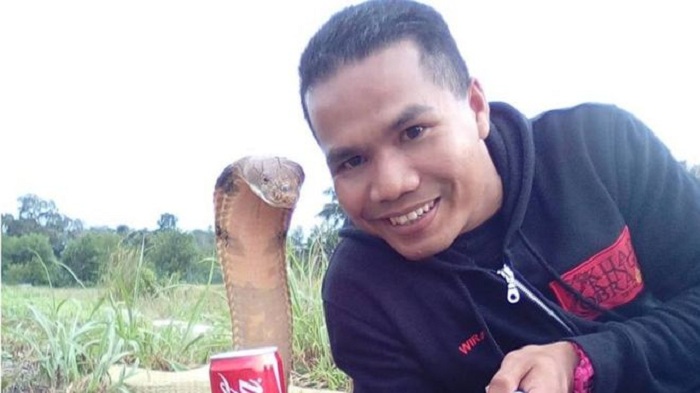 Snake marriage story fake, Malaysian fireman says
